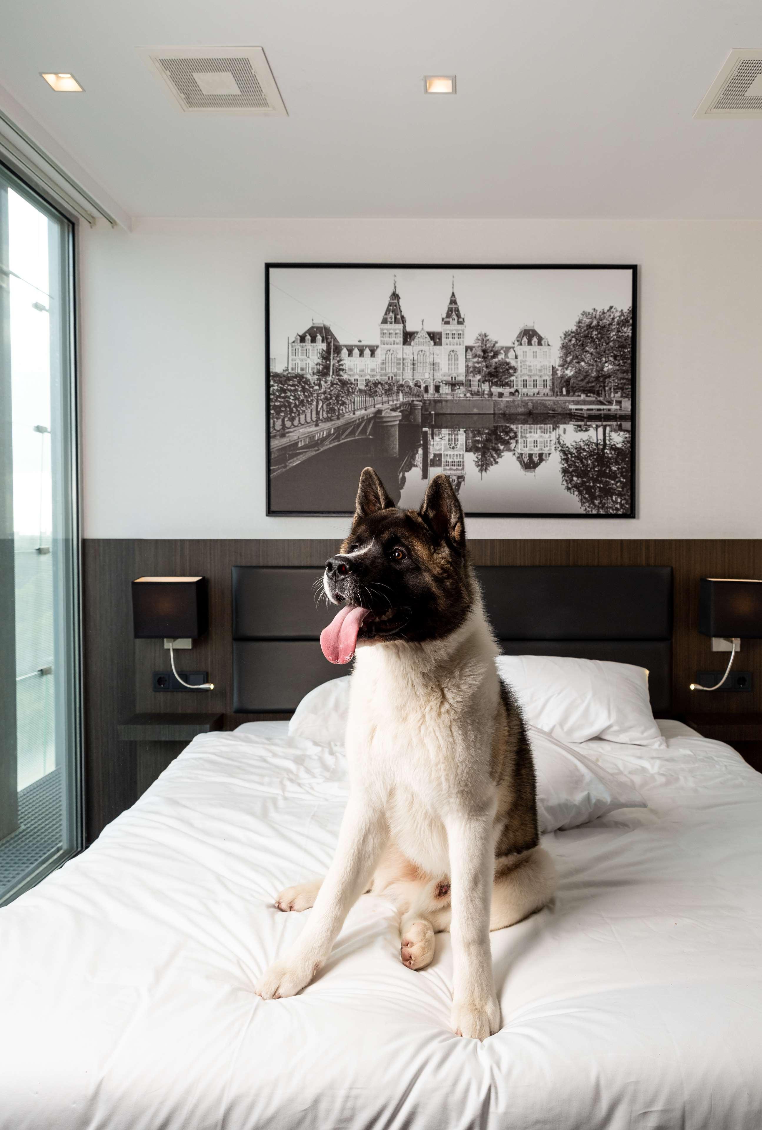Radisson Hotel And Suites Amsterdam South Extérieur photo